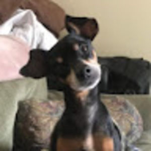 Meet your Posher, Laura